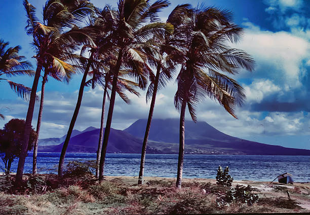 istock Palms on St. Kitts with Nevis in the background. 2216670209
