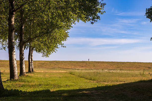 Flevoland is characterised by its vastness, straight roads and dikes and emptiness. Huge poplars in the empty landscape make the walker feel insignificant and small