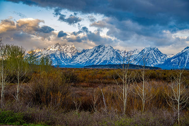 The tallest peak of Teton National Park in the early mornings.