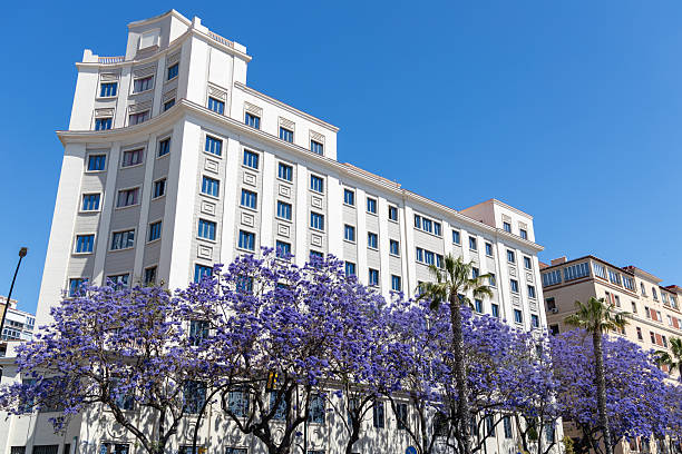 istock Modern building with white facade surrounded by vibrant purple flowering trees under a clear blue sky, showcasing urban architecture and natural beauty in harmony 2216678366