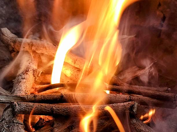 A powerful, roaring fire creating a mesmerizing display of movement and searing energy.