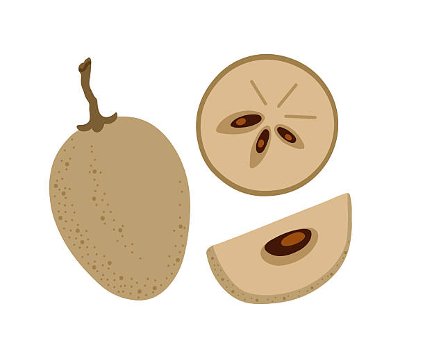 istock Sapodilla tropical exotic fruit. Sapote, chicozapote, chicoo, chicle, naseberry, nispero, soapapple. 2216681175