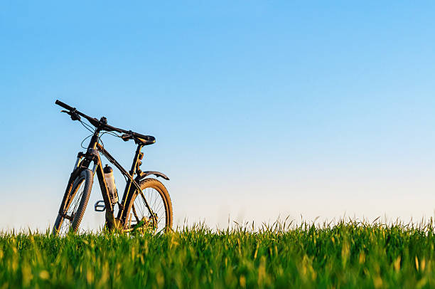 Bicycle on green field at sunset. Low angle view. Cycling concept. Image for adding text message