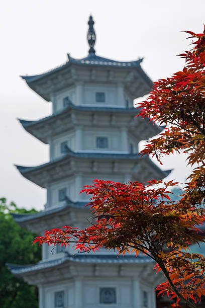 istock Ancient Pagoda and Red Leaves in Autumn 2216684257
