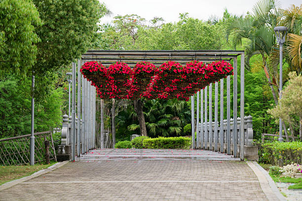 istock Flower Arbor in the Garden 2216686768