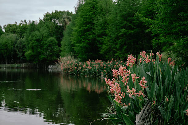 Beautiful Flower Beds by the Lake