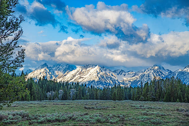 istock Grand Teton mountain peaks on rainy spring day 2216688317
