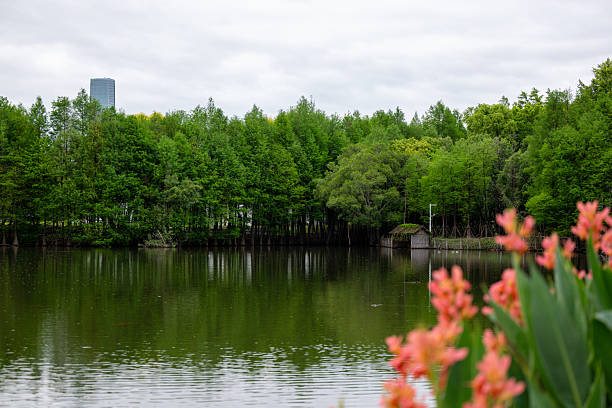 Green Trees and Flowers by the Lake