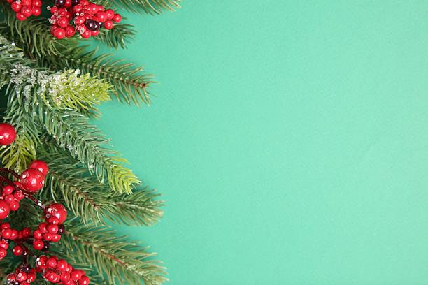 istock Christmas decor. Fir tree branches and red berries on turquoise background, flat lay. Space for text 2216694728