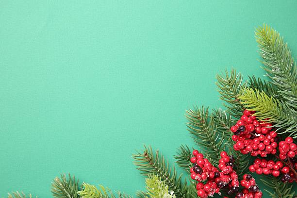 istock Christmas decor. Fir tree branches and red berries on turquoise background, flat lay. Space for text 2216694772