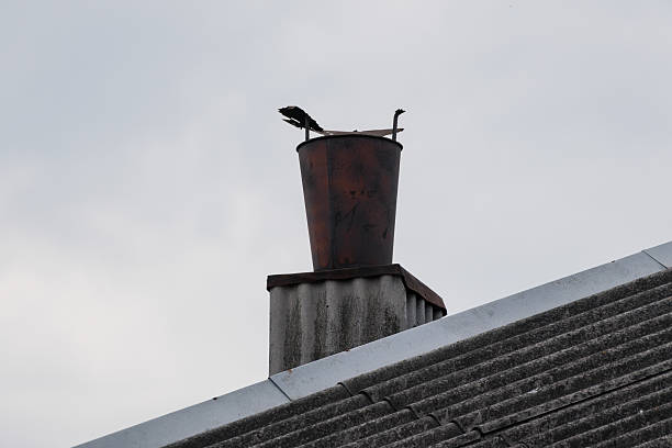Two cormorants rest atop a vintage, rusted chimney pot situated on a corrugated iron roof, evoking a sense of rural stillness and natural habitat