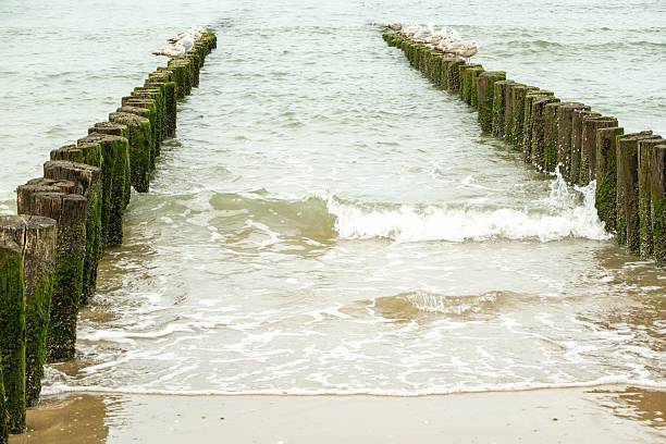 Netherlands,Ameland,Buren,july 2016: clean sand on the beach