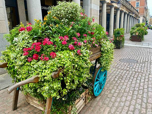 istock Covent Garden London 2216705742