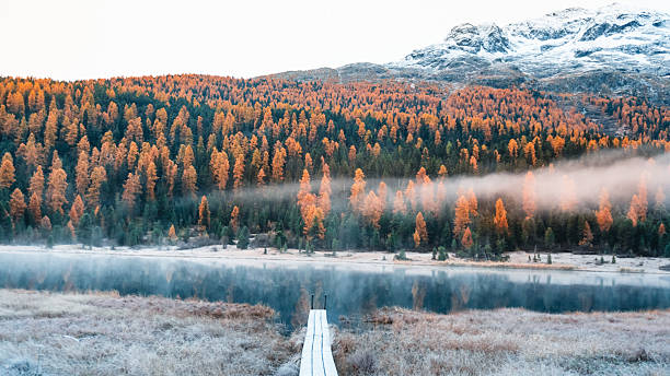 istock Boardwalk over lake below mountains at sunrise 2216712462