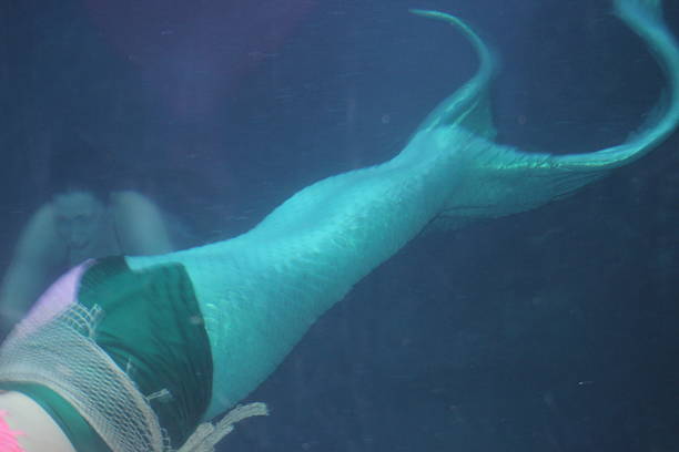 istock Mermaid Swimming Underwater 2216724508