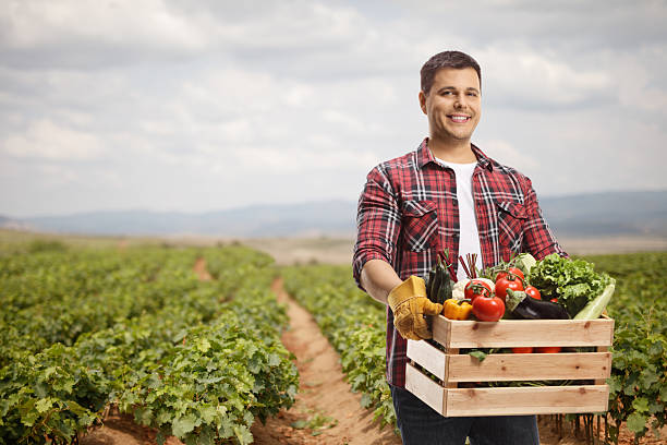 istock Young man carrying a crate with vegetables 2216735401
