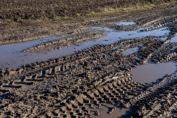 A close-up shot shows clear tire tread tracks left on a muddy road. The murky water filling the rut and small plants create a natural texture and detailing.