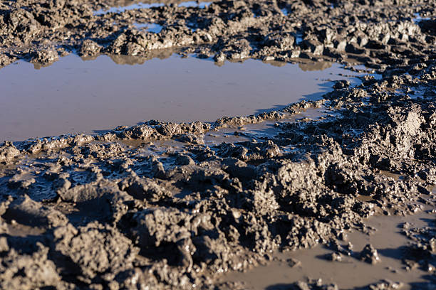 istock Damp ground shows uneven, muddy patches with visible puddles reflecting sunlight following recent rains in a rural landscape 2216735888