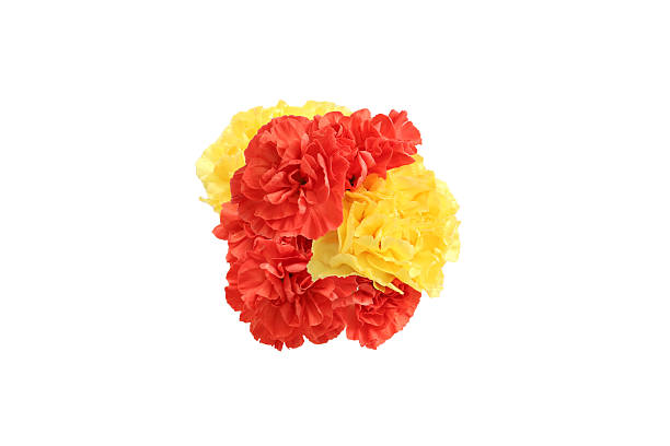 istock Bouquet of carnation isolated on a white background. 2216743137
