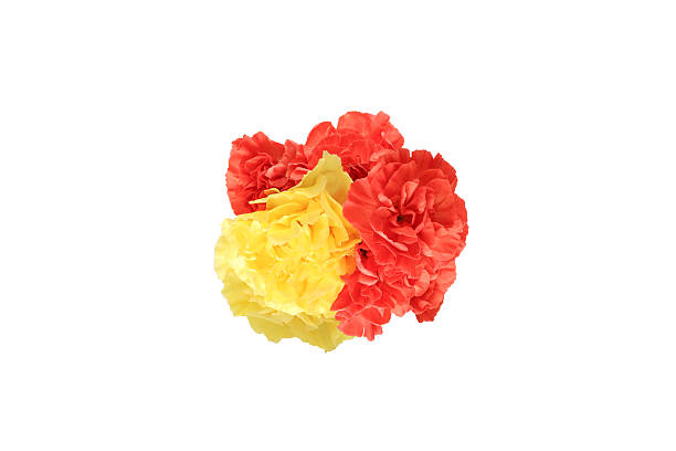 istock Bouquet of carnation isolated on a white background. 2216743220