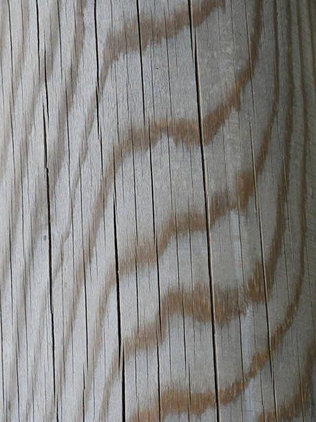 istock natural wood surface with clear dark age ringes imprinted as texture 2216746791