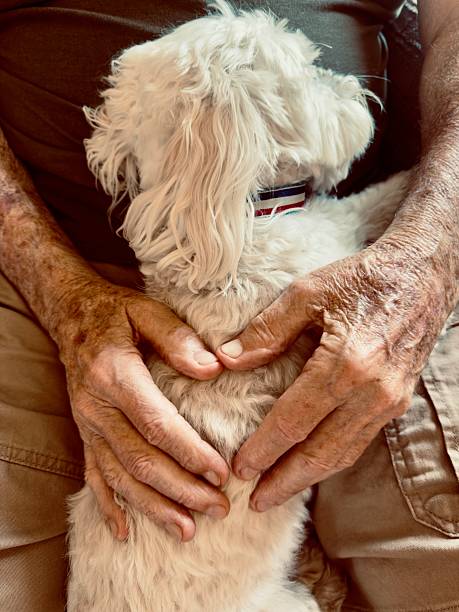 istock Senior little friend 2216747586