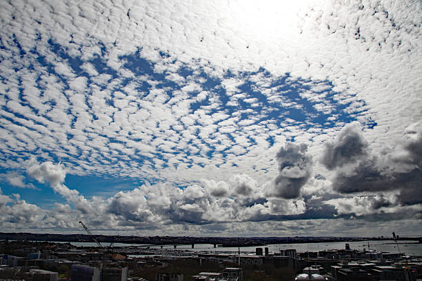 A carpet of clouds above Auckland