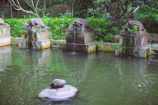 istock fish pond decorated with three turtle fountains 2216758978