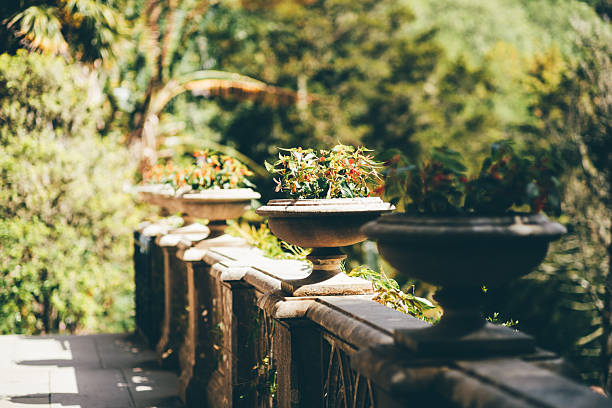 Elegant stone terrace lined with classic urn planters filled with blooming flowers, captured in warm sunlight with a lush green forest softly blurred in the background