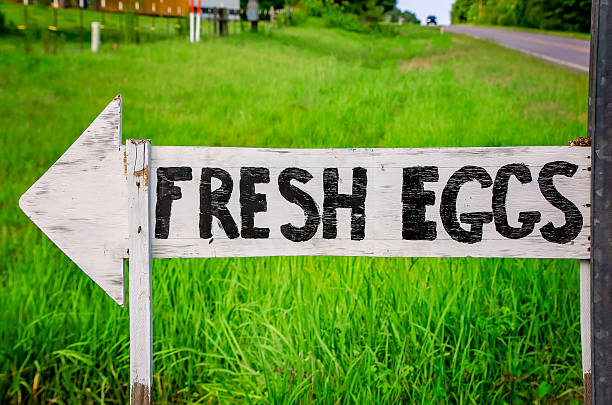 Fresh eggs sign in Grand Bay Alabama