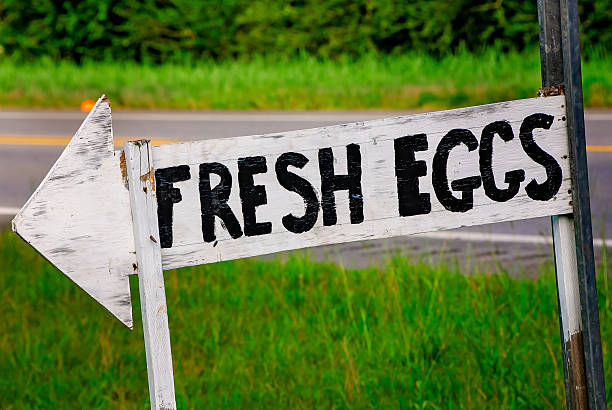 istock Fresh eggs sign in Grand Bay Alabama 2216762162