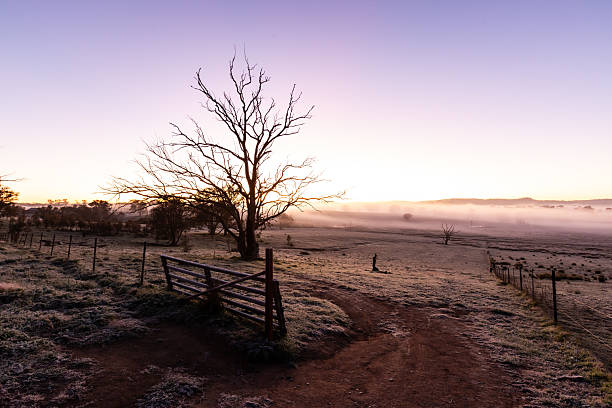 As the sun rises, a brilliant display of colour fills the sky above a misty valley, where a dead tree stands alone in the field.