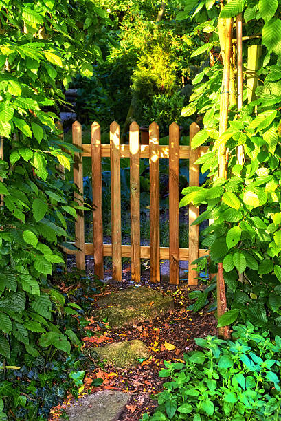 istock Sunlit wooden garden gate surrounded by lush greenery in a serene backyard setting 2216763324