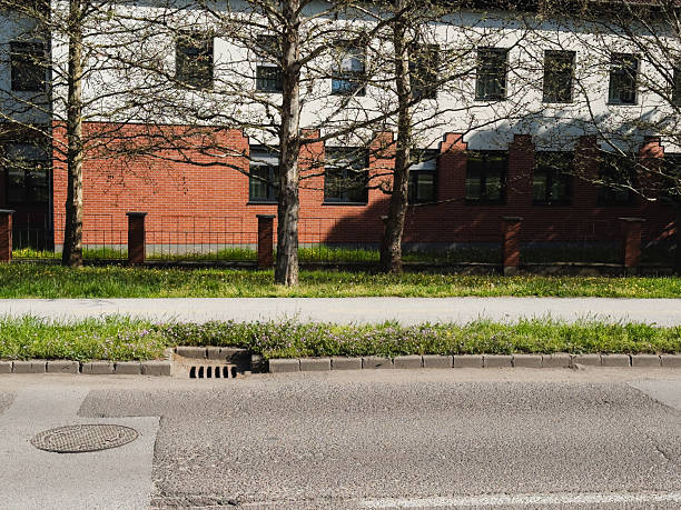 Concrete pavement tile with openings in which grass and other weeds can grow, on a parking lot in the Netherlands