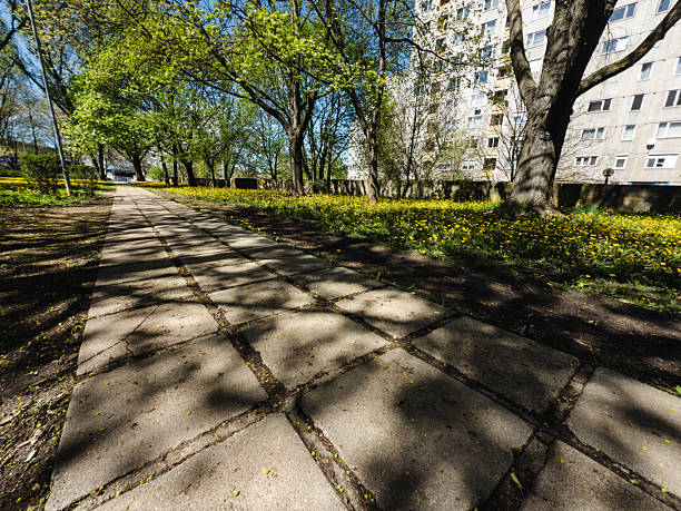 A tree-lined concrete walkway runs through an urban park, with dappled sunlight casting shadows across the path. To the side, a vibrant field of yellow dandelions adds color and life, set against the backdrop of tall residential buildings.