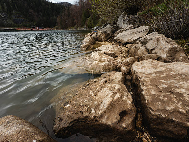 Large, smooth rocks line the edge of a mountain lake, with clear water gently washing over the rugged shoreline. The forested hills and overcast sky create a serene, untouched natural landscape perfect for peaceful contemplation.