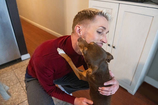 istock Man in 30s Greeted by Pet Dog After Coming Home 2216766111