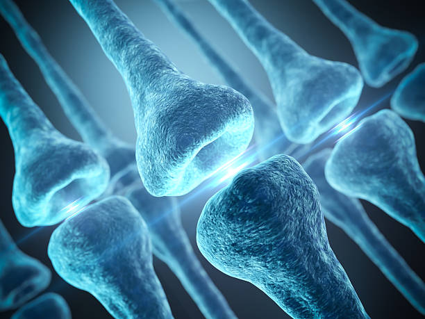 istock 3d illustration Concept of neurons and nervous system, Active nerve cells 2216772801