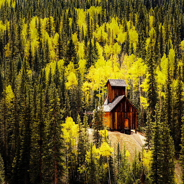 Lonely abandoned cabin in the autumn forest