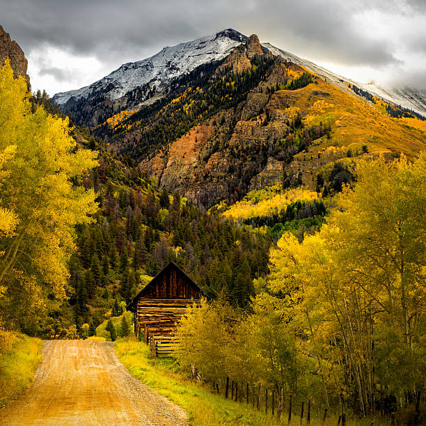 This image depicts a rustic cabin situated along a dirt road in a mountainous region of Colorado during autumn. The scene features vibrant aspen trees and snow-capped peaks, highlighting the natural beauty of the landscape.