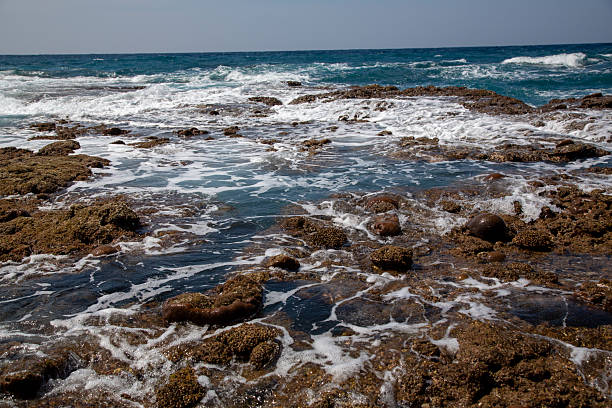 Amami Coral Reefs