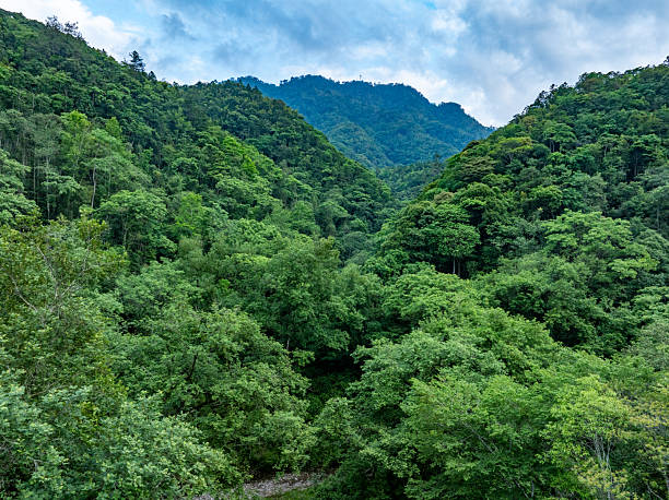 istock mountain landscape in the mountains 2216780406