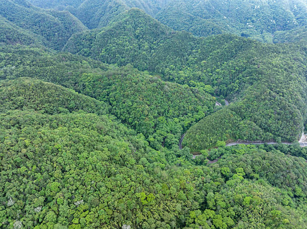 istock mountain landscape in the mountains 2216780805