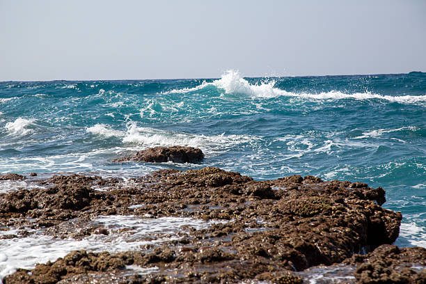 Amami Coral Reefs