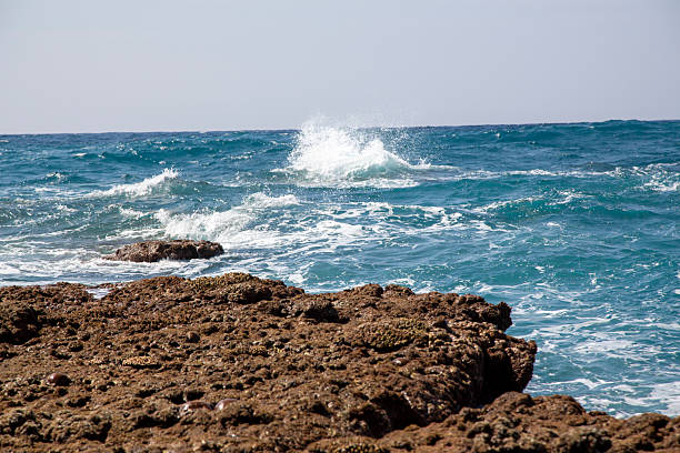 Amami Coral Reefs