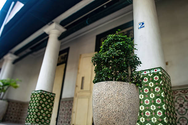 A vibrant potted plant adorns an elegant architectural facade, featuring classical white columns and traditional green patterned tiles. Ideal for sophisticated home decor and travel themes