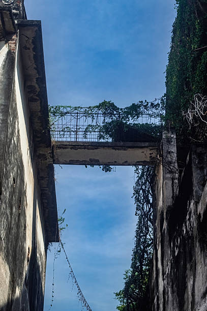 A poignant image of an abandoned, vine covered structure under a clear blue sky, evoking a sense of history and forgotten beauty. Ideal for themes of decay, mystery, and urban exploration