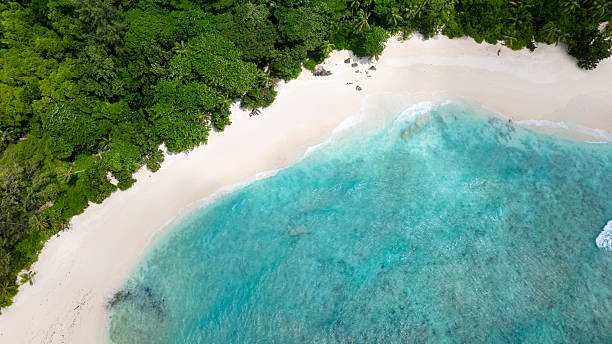 istock Tropical beach with clear blue waters. Seychelles, Mahe. 2216789112