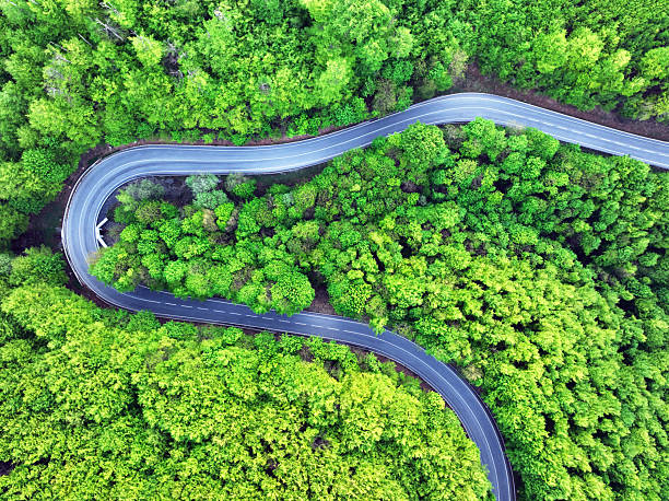 istock Green forest with curve road at sunset 2216789122