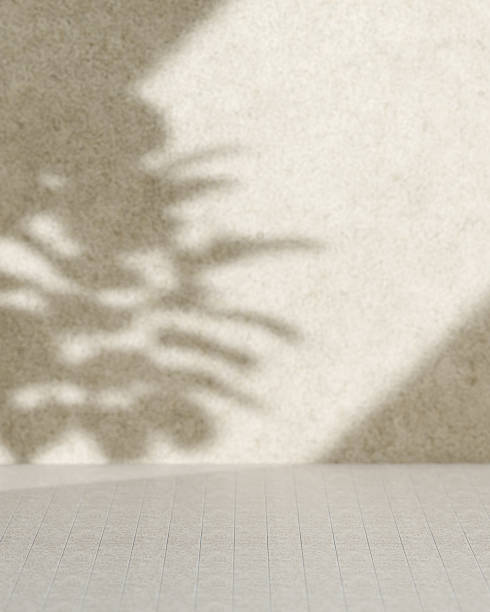 istock Beige Background with Round Podium and Plant Shadow 2216790741